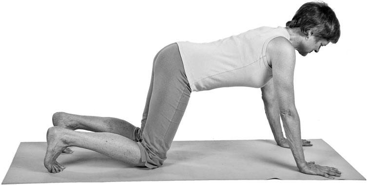 Иллюстрация к книге — Йога при остеопорозе [_157.jpg]