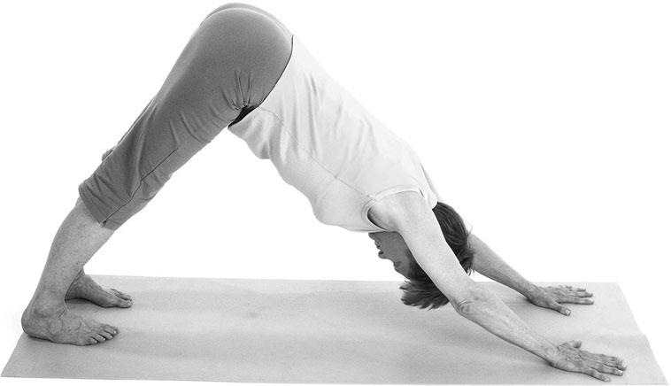 Иллюстрация к книге — Йога при остеопорозе [_158.jpg]