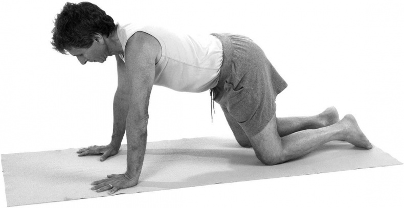 Иллюстрация к книге — Йога при остеопорозе [_165.jpg]