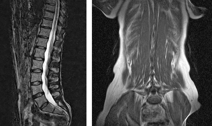 Иллюстрация к книге — Йога при остеопорозе [_18.jpg]