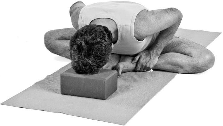 Иллюстрация к книге — Йога при остеопорозе [_280.jpg]