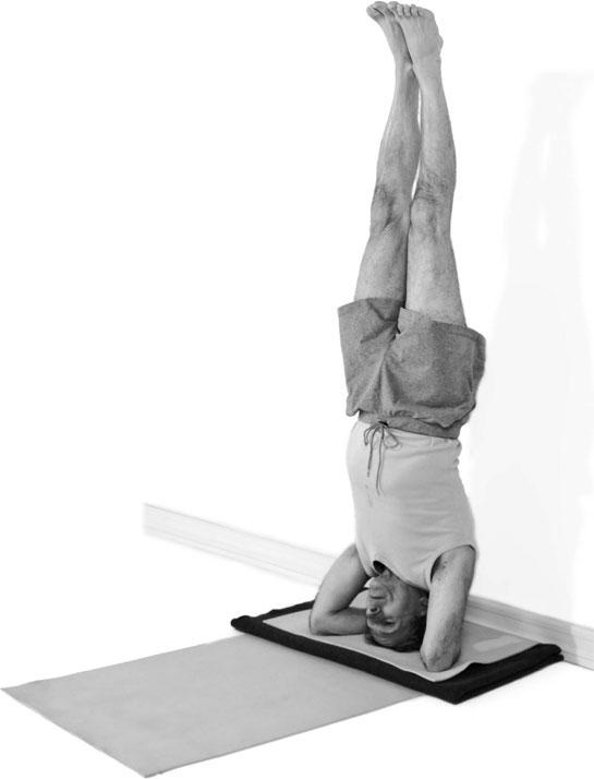 Иллюстрация к книге — Йога при остеопорозе [_305.jpg]