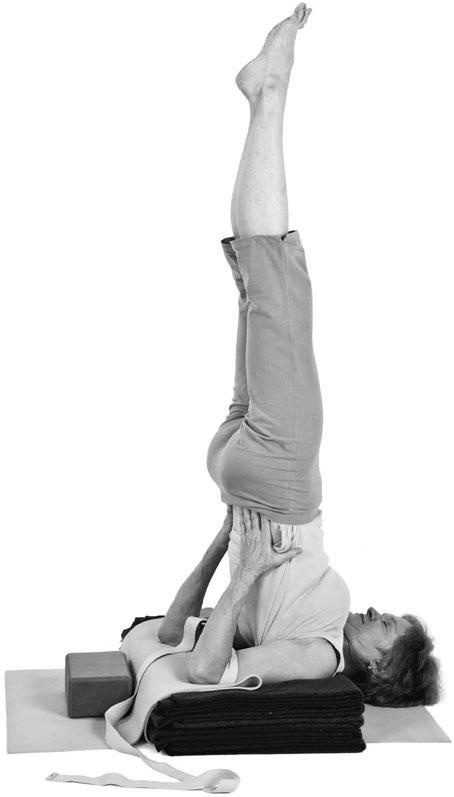 Иллюстрация к книге — Йога при остеопорозе [_320.jpg]