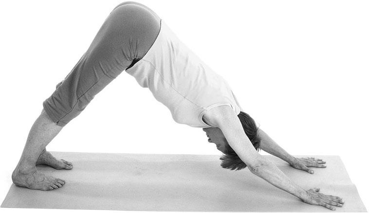 Иллюстрация к книге — Йога при остеопорозе [_54.jpg]