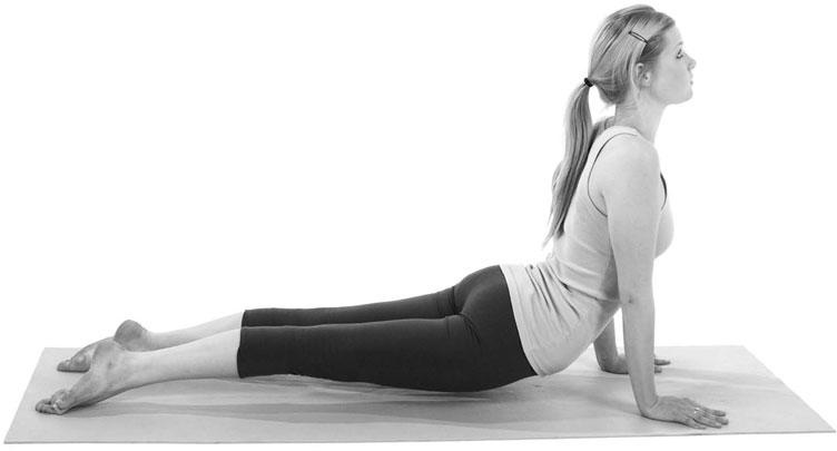 Иллюстрация к книге — Йога при остеопорозе [_59.jpg]