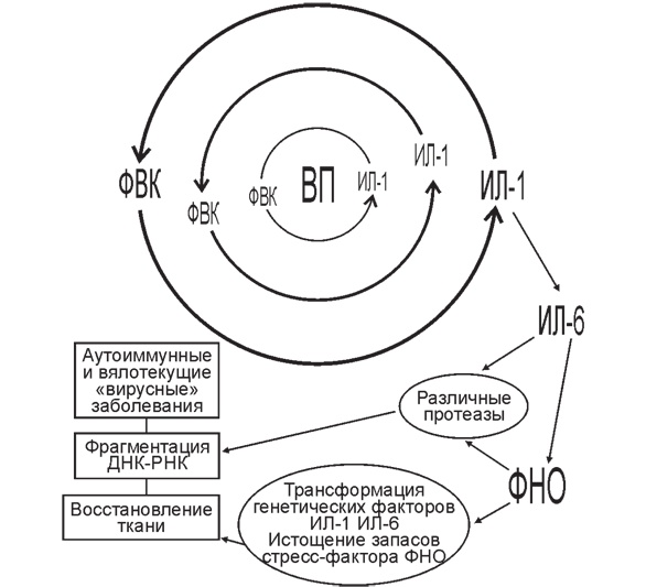 Иллюстрация к книге — Вода для здоровья [i_006.jpg]
