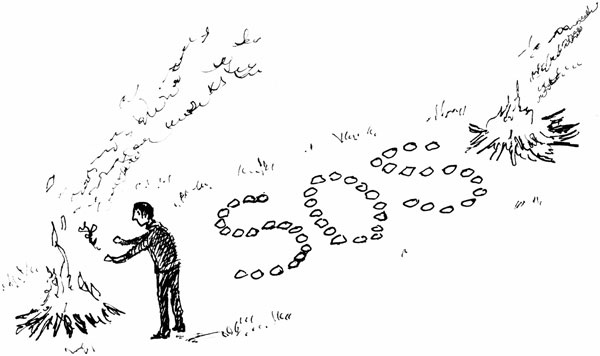 Иллюстрация к книге — Всегда готов! Курс выживания в экстремальных условиях для современных мужчин [_03signal.jpg]