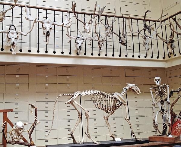 Иллюстрация к книге — Как почувствовать себя парижанкой, кем бы вы ни были [_82.jpg]