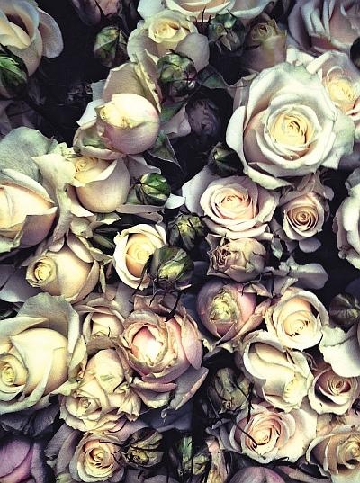 Иллюстрация к книге — Как почувствовать себя парижанкой, кем бы вы ни были [_84.jpg]