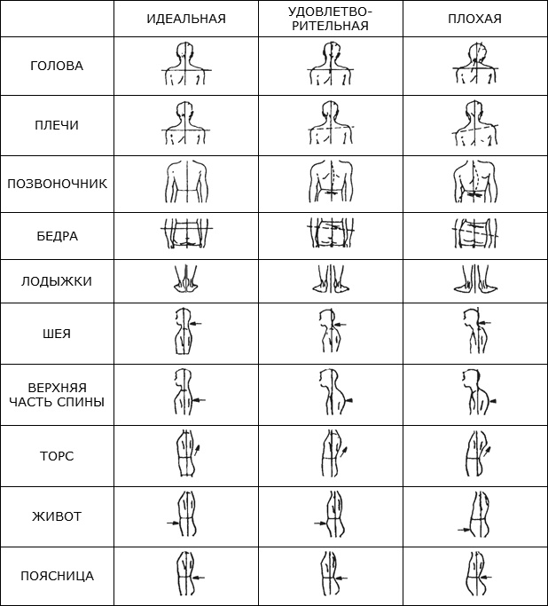 Иллюстрация к книге — Здоровая нервная система [i_007.jpg]