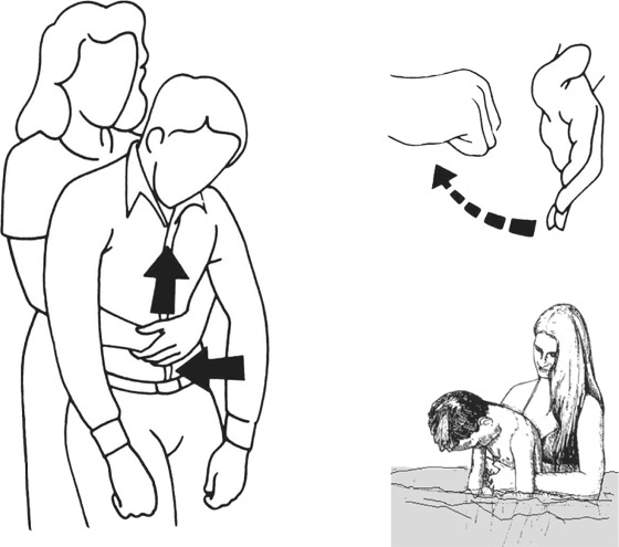 Иллюстрация к книге — Здоровая нервная система [i_041.jpg]