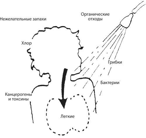 Иллюстрация к книге — Здоровая нервная система [i_044.jpg]