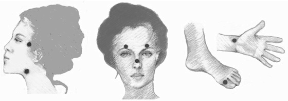 Иллюстрация к книге — Здоровая нервная система [i_051.jpg]