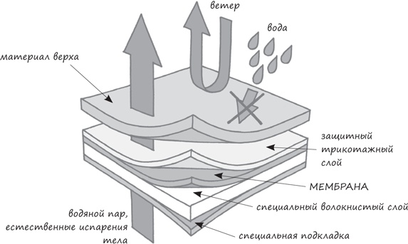Иллюстрация к книге — Лайфхак на каждый день [i_018.jpg]