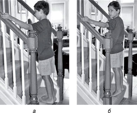 Иллюстрация к книге — Обучение моторным навыкам детей с ДЦП. Пособие для родителей и профессионалов [i_254.jpg]