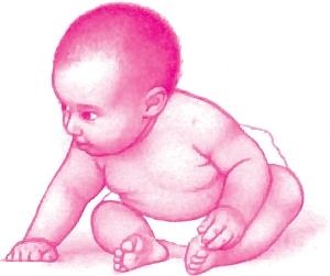 Иллюстрация к книге — Ваш малыш от рождения до двух лет [_113.jpg]