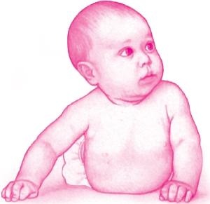 Иллюстрация к книге — Ваш малыш от рождения до двух лет [_117.jpg]