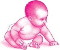 Иллюстрация к книге — Ваш малыш от рождения до двух лет [_120.jpg]