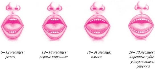 Иллюстрация к книге — Ваш малыш от рождения до двух лет [_123.jpg]