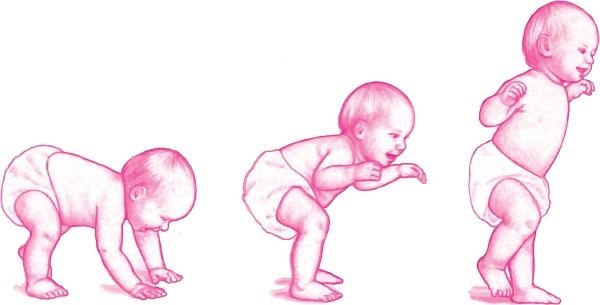 Иллюстрация к книге — Ваш малыш от рождения до двух лет [_144.jpg]