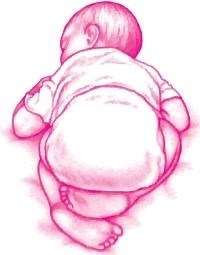 Иллюстрация к книге — Ваш малыш от рождения до двух лет [_153.jpg]