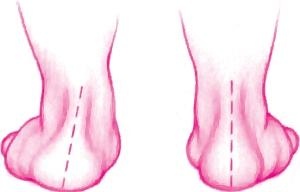 Иллюстрация к книге — Ваш малыш от рождения до двух лет [_158.jpg]