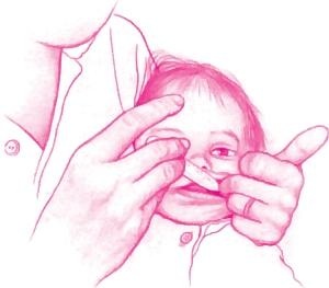 Иллюстрация к книге — Ваш малыш от рождения до двух лет [_172.jpg]