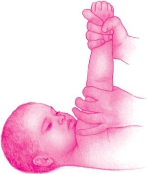 Иллюстрация к книге — Ваш малыш от рождения до двух лет [_18.jpg]