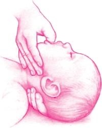 Иллюстрация к книге — Ваш малыш от рождения до двух лет [_192.jpg]