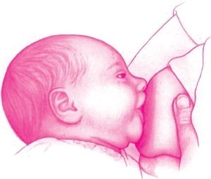 Иллюстрация к книге — Ваш малыш от рождения до двух лет [_26.jpg]