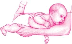 Иллюстрация к книге — Ваш малыш от рождения до двух лет [_87.jpg]