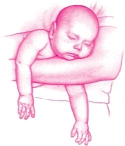 Иллюстрация к книге — Ваш малыш от рождения до двух лет [_89.jpg]