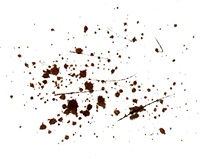 Иллюстрация к книге — Пастух [i_029.jpg]