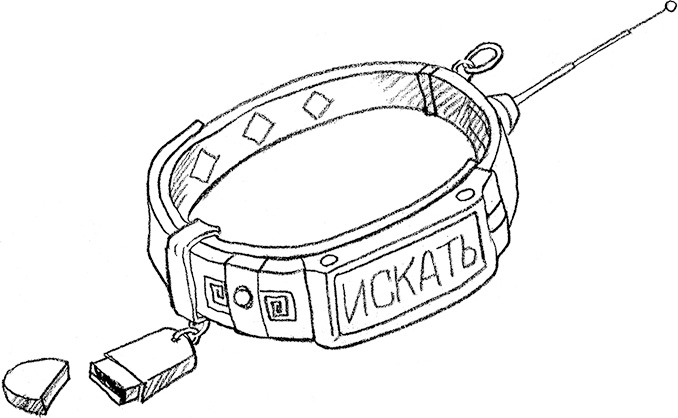 Иллюстрация к книге — Собака по щучьему велению [i_008.jpg]