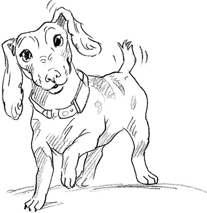 Иллюстрация к книге — Собака по щучьему велению [i_009.jpg]