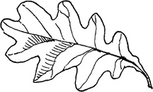 Иллюстрация к книге — Собака по щучьему велению [i_012.jpg]