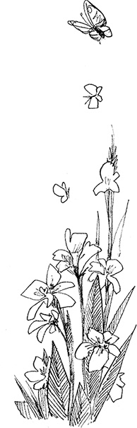 Иллюстрация к книге — Собака по щучьему велению [i_018.jpg]