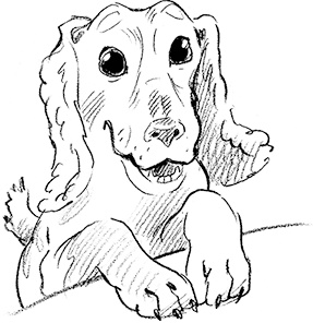 Иллюстрация к книге — Собака по щучьему велению [i_021.jpg]