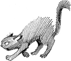 Иллюстрация к книге — Собака по щучьему велению [i_022.jpg]