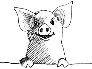 Иллюстрация к книге — Волшебник с пятачком [i_005.jpg]