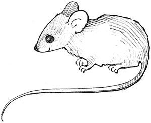 Иллюстрация к книге — Волшебник с пятачком [i_011.jpg]