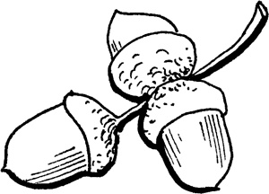 Иллюстрация к книге — Волшебник с пятачком [i_015.jpg]