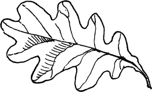 Иллюстрация к книге — Волшебник с пятачком [i_041.jpg]