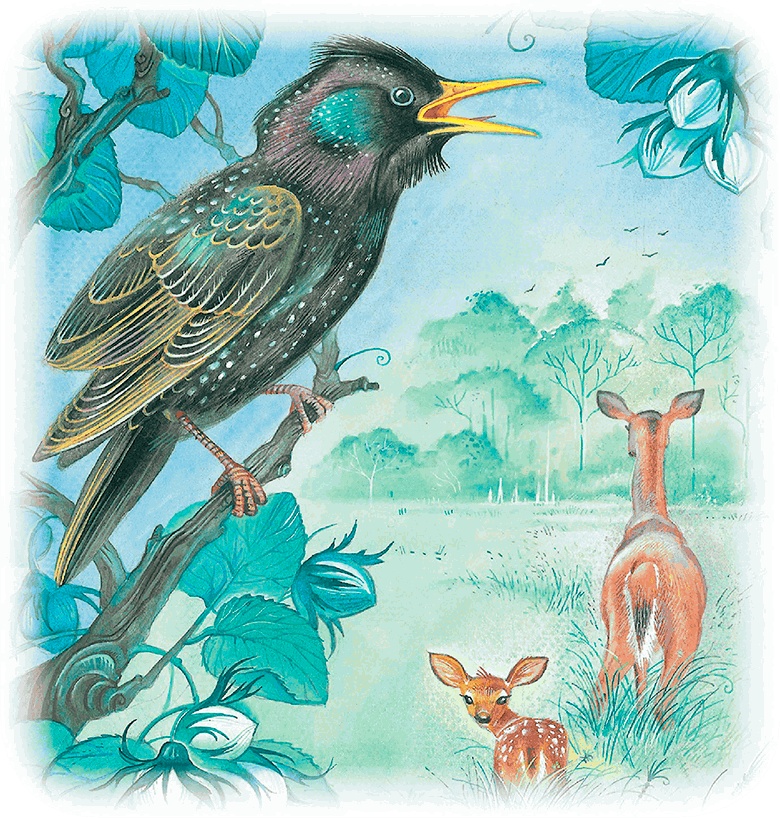 Иллюстрация к книге — Бемби [i_008.jpg]