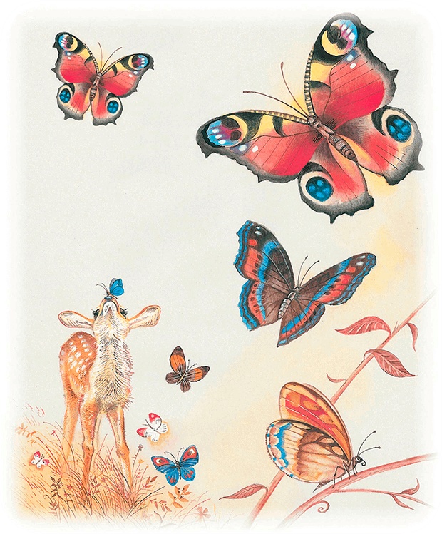 Иллюстрация к книге — Бемби [i_010.jpg]