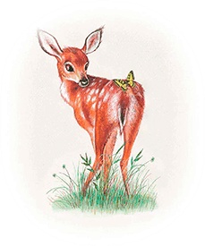 Иллюстрация к книге — Бемби [i_015.jpg]