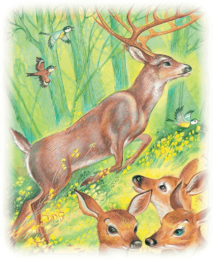 Иллюстрация к книге — Бемби [i_016.jpg]