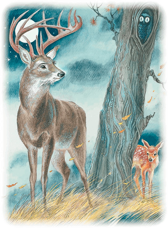 Иллюстрация к книге — Бемби [i_017.jpg]