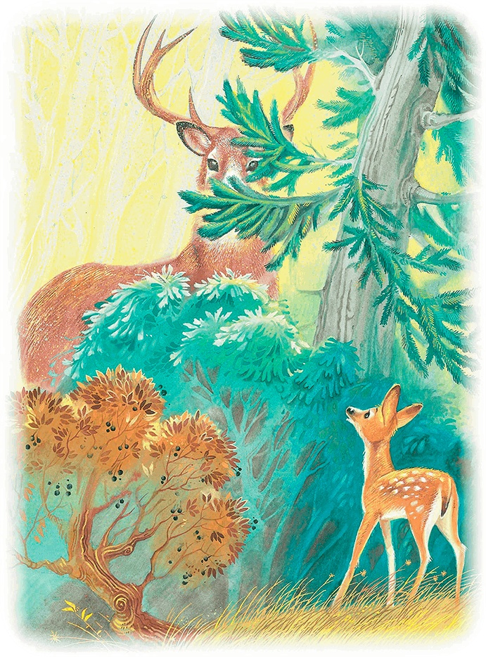 Иллюстрация к книге — Бемби [i_020.jpg]