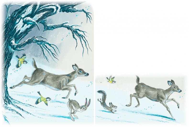 Иллюстрация к книге — Бемби [i_028.jpg]